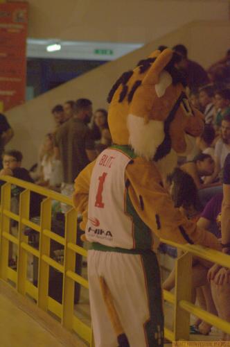 blitz-basquetebol-0132