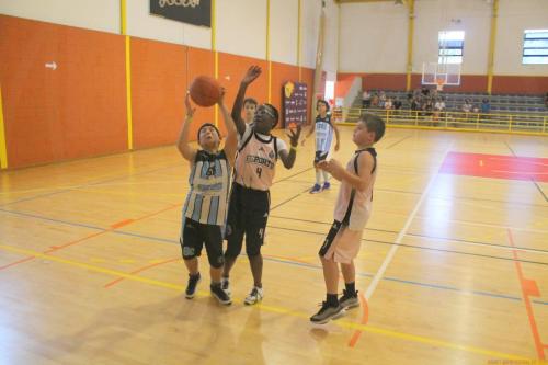 fc-porto-basquetebol-racing-mafra-0536